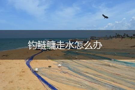 钓鲢鳙走水怎么办,第1张