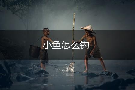 小鱼怎么钓,第1张