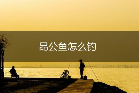 昂公鱼怎么钓,第1张
