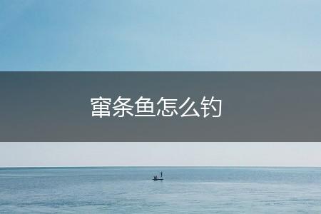 窜条鱼怎么钓,第1张