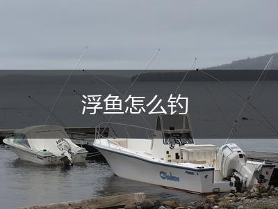 浮鱼怎么钓,第1张
