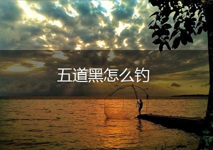 五道黑怎么钓,第1张