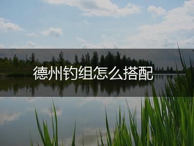 德州钓组怎么搭配,第1张