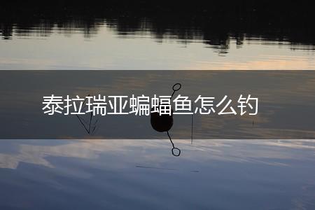 泰拉瑞亚蝙蝠鱼怎么钓,第1张
