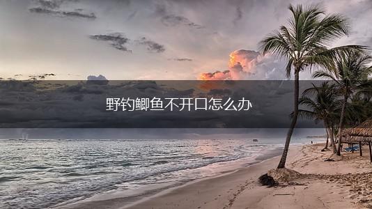 野钓鲫鱼不开口怎么办,第1张