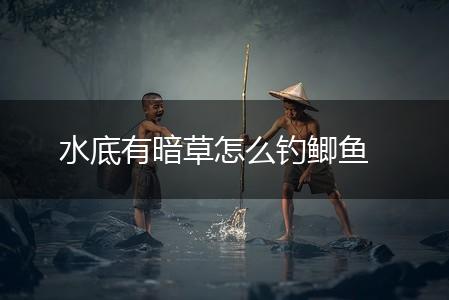 水底有暗草怎么钓鲫鱼,第1张