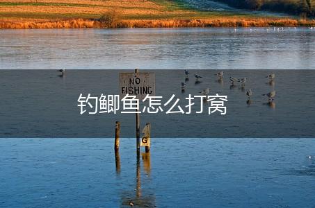 钓鲫鱼怎么打窝,第1张