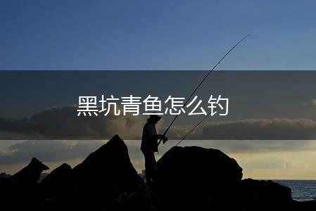 黑坑青鱼怎么钓,第1张