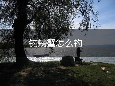 钓螃蟹怎么钓,第1张