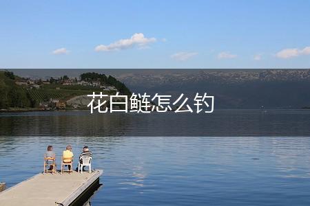 花白鲢怎么钓,第1张