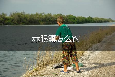 赤眼鳟怎么钓,第1张