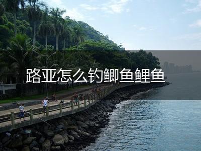 路亚怎么钓鲫鱼鲤鱼,第1张