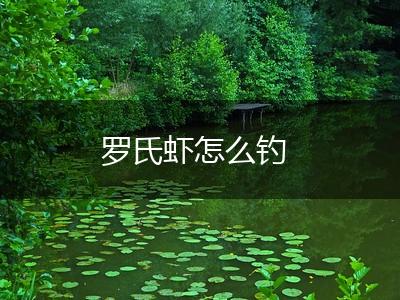 罗氏虾怎么钓,第1张