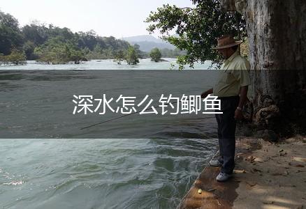 深水怎么钓鲫鱼,第1张