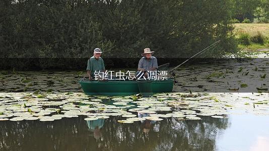 钓红虫怎么调漂,第1张
