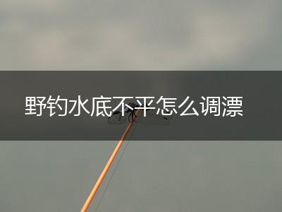 野钓水底不平怎么调漂,第1张