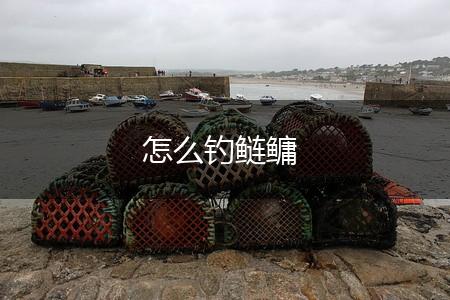 怎么钓鲢鳙,第1张
