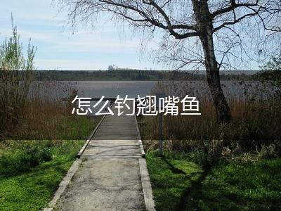 怎么钓翘嘴鱼,第1张