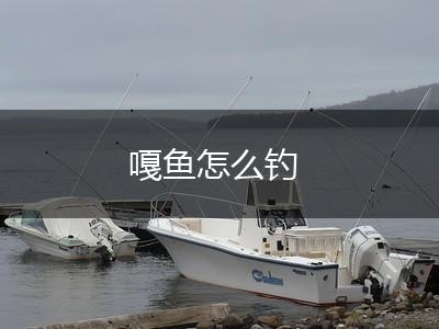 嘎鱼怎么钓,第1张