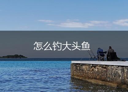 怎么钓大头鱼,第1张