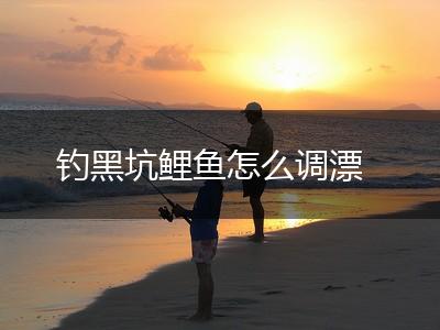 钓黑坑鲤鱼怎么调漂,第1张
