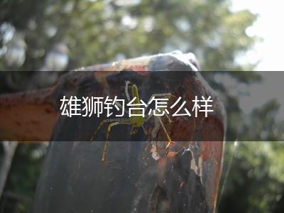雄狮钓台怎么样,第1张
