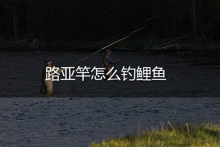 路亚竿怎么钓鲤鱼,第1张