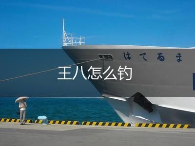 王八怎么钓,第1张