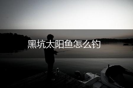 黑坑太阳鱼怎么钓,第1张