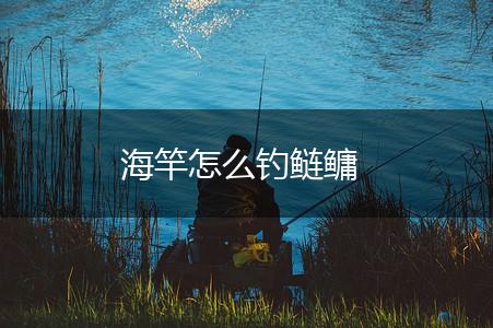 海竿怎么钓鲢鳙,第1张