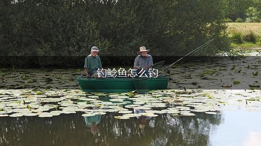 钓鲶鱼怎么钓,第1张