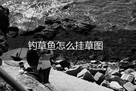 钓草鱼怎么挂草图,第1张