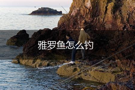 雅罗鱼怎么钓,第1张