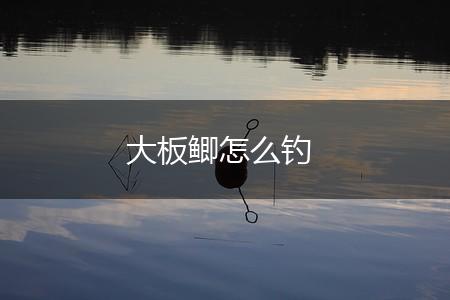 大板鲫怎么钓,第1张