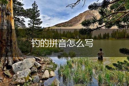 钓的拼音怎么写,第1张