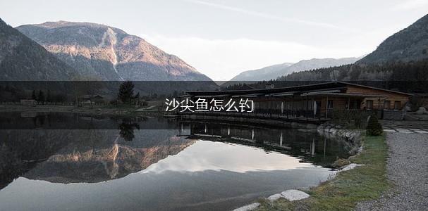 沙尖鱼怎么钓,第1张