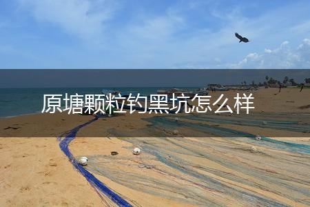 原塘颗粒钓黑坑怎么样,第1张