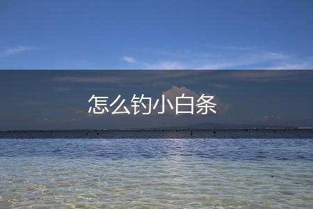 怎么钓小白条,第1张