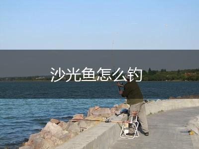 沙光鱼怎么钓,第1张