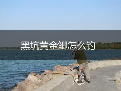 黑坑黄金鲫怎么钓,第1张
