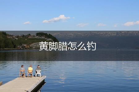 黄脚腊怎么钓,第1张