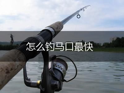 怎么钓马口最快,第1张