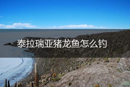泰拉瑞亚猪龙鱼怎么钓,第1张