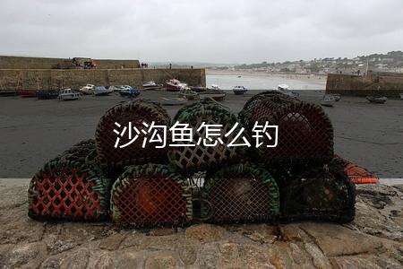 沙沟鱼怎么钓,第1张