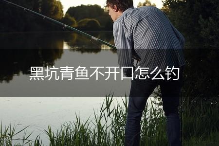 黑坑青鱼不开口怎么钓,第1张