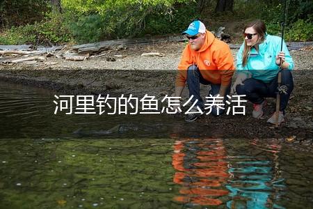 河里钓的鱼怎么养活,第1张