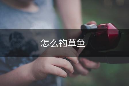 怎么钓草鱼,第1张
