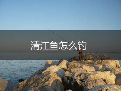 清江鱼怎么钓,第1张