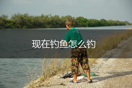 现在钓鱼怎么钓,第1张