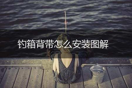 钓箱背带怎么安装图解,第1张